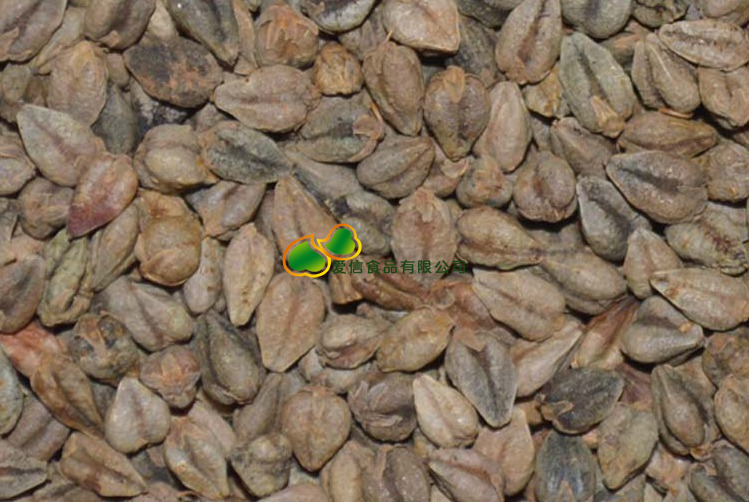 20140703103033_8188.jpg 20140703103033_8188.jpg