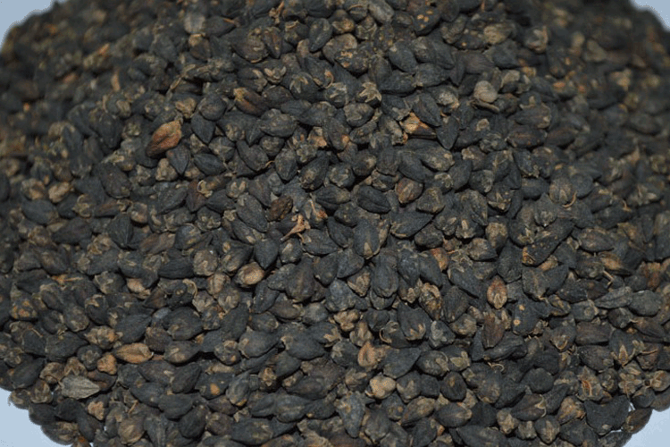 黑苦荞麦详情.gif 黑苦荞麦详情.gif