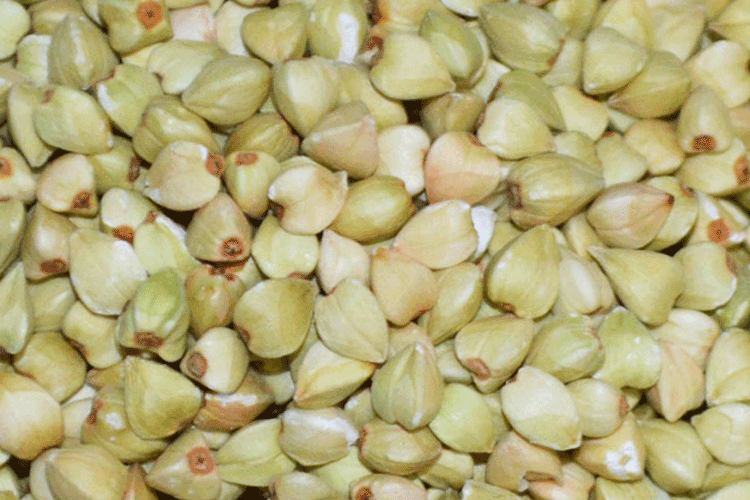 甜荞麦仁详情.gif 甜荞麦仁详情.gif