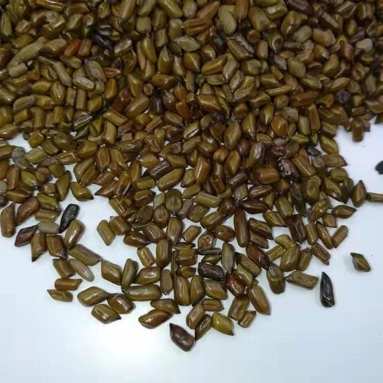 a0847d7ccf1961a2dba4be59c146f3c.jpg a0847d7ccf1961a2dba4be59c146f3c.jpg